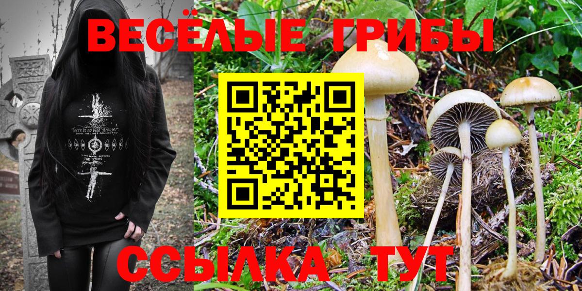 Cocaine  Мефедрон кристаллы  Вход с VPN  Купить наркотик  Мефедрон  Саратов  МАРИХУАНА  Гашиш 