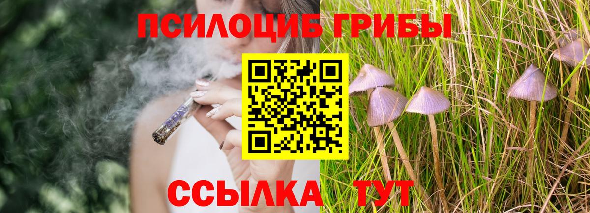 Галлюциногенные грибы Cubensis Саратов